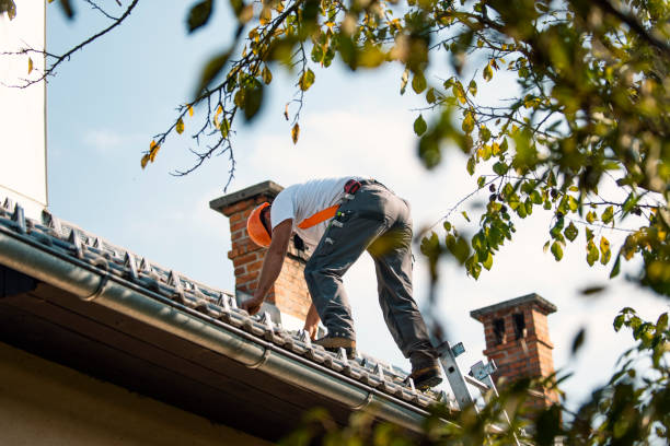 Best Storm Damage Roof Repair  in Riverdale, IL