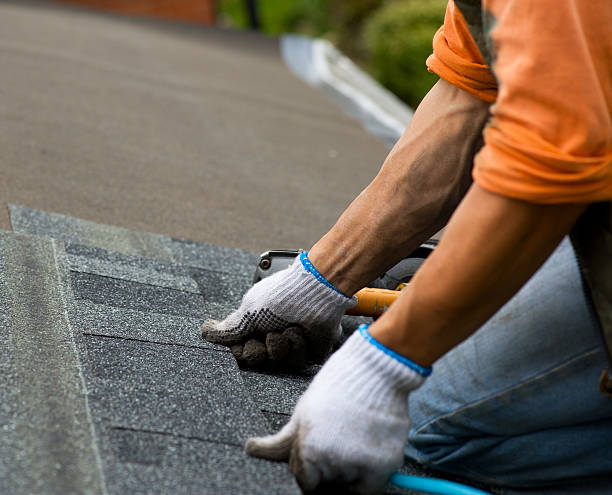 Roof Repair Estimates in Riverdale, IL