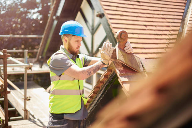 Best Roof Repair Services  in Riverdale, IL