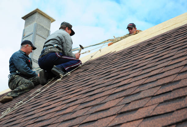 Best Flat Roof Repair Services  in Riverdale, IL