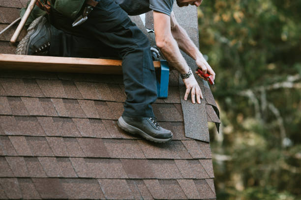 Best Roof Leak Repair  in Riverdale, IL